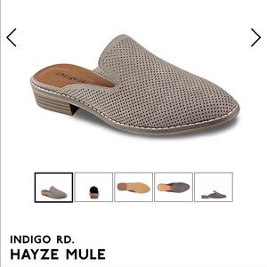 indigo rd. HAYZE MULE